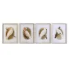 Canvas DKD Home Decor 50 x 2,8 x 65 cm 50 x 65 x 2.8 cm Papagailis Cottage (4 Daudzums)
