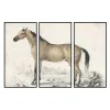 Полотно DKD Home Decor полистирол Полотно 180 x 4 x 120 cm 120 x 4 x 60 cm (3 Предметы)