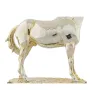 Dekoratyvinė figūrėlė DKD Home Decor Arklys Juoda Auksinis Derva (30 x 11,5 x 26 cm)