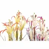 Dekoratīvs Augs DKD Home Decor Metāls Oranžs Bordo PVC Lilijas (25 x 25 x 88 cm) (2 gb.)