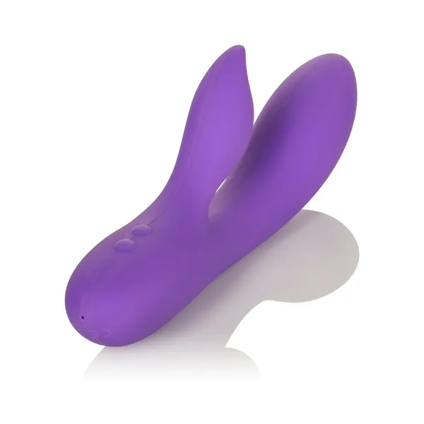 G-Spot Vibrator California Exotic Novelties Violet