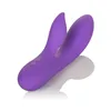 G-Spot Vibrator California Exotic Novelties Violet