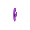 G-Spot Vibrator California Exotic Novelties Purple