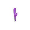 G-Spot Vibrator California Exotic Novelties Purple