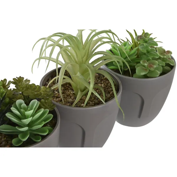Dekoratīvs Augs DKD Home Decor Pelēks Bēšs Polietilēns Zaļš polipropilēns (11 x 11 x 15 cm) (3 gb.)