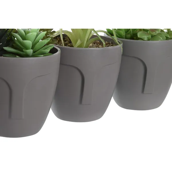 Dekoratīvs Augs DKD Home Decor Pelēks Bēšs Polietilēns Zaļš polipropilēns (11 x 11 x 15 cm) (3 gb.)