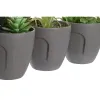 Decorative Plant DKD Home Decor Grey Beige Polyethylene Green polypropylene (11 x 11 x 15 cm) (3 Units)