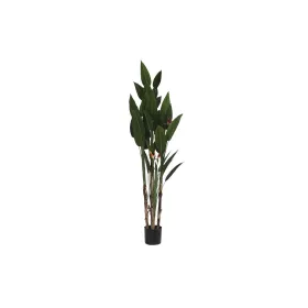 Dekoratīvs Augs DKD Home Decor (90 x 90 x 200 cm)