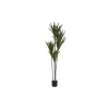Dekoratyvinis augalas DKD Home Decor (80 x 80 x 180 cm)