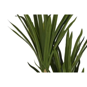 Dekoratīvs Augs DKD Home Decor (80 x 80 x 180 cm)