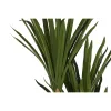 Dekoratīvs Augs DKD Home Decor (80 x 80 x 180 cm)