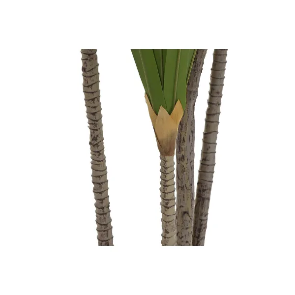 Dekoratīvs Augs DKD Home Decor (80 x 80 x 180 cm)