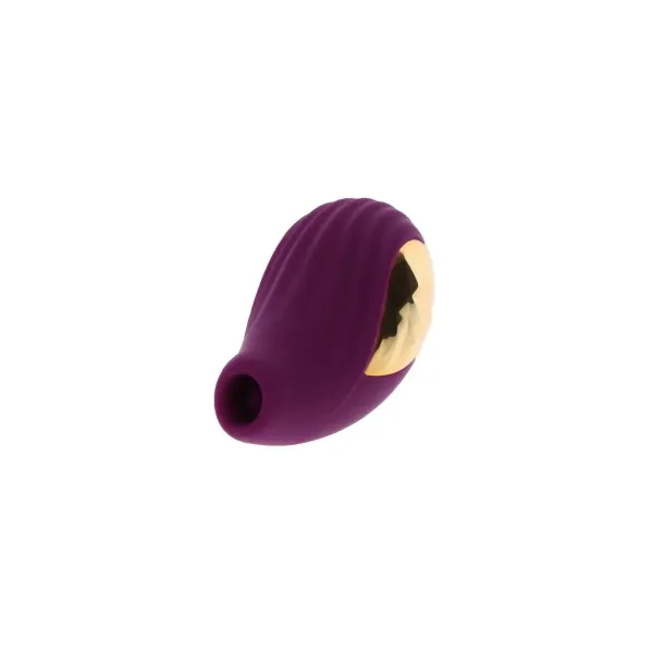 Vibrator Toy Joy Purple