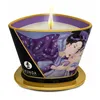 Massage Candle Shunga 8401600 Exotic Fruits 170 ml