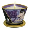 Massage Candle Shunga 8401600 Exotic Fruits 170 ml