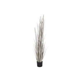 Dekoratīvs Augs DKD Home Decor niedres (45 x 45 x 150 cm)