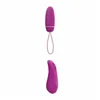 Bullet Vibrator B Swish BSDUN0903