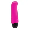 Bullet Vibrator Liebe