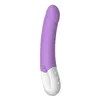 G-Spot Vibrator Liebe Exciter Violet