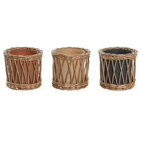 Scented Candle DKD Home Decor Tropical 270 g (3 Units)