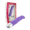 Gino Vibrator Purple FeelzToys E21306