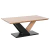 Centrinis stalas DKD Home Decor Metalinis Akacija 115 x 60 x 45 cm