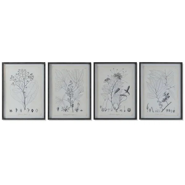 Paveikslas DKD Home Decor Šiuolaikiškas Vaistiniai augalai 45 x 2,5 x 60 cm (4 vnt.)