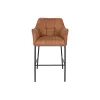Jakkara DKD Home Decor Musta Kameli Metalli 59 x 60 x 107 cm