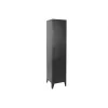 Shelves Home ESPRIT Black Metal 40 x 41 x 180 cm