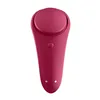 Couples Massager Sexy Secret Panty Satisfyer