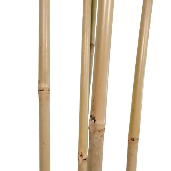 Puut Home ESPRIT Polyesteri Bambu 80 x 80 x 180 cm