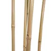 Puut Home ESPRIT Polyesteri Bambu 80 x 80 x 180 cm