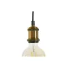 Sieninė lempa Home ESPRIT Auksinis Derva 50 W Šiuolaikiškas Buldogas 220 V 25 x 23 x 29 cm