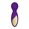 Wand Massager Lovely Leopard Mini Rianne S Pink Golden Purple