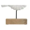 Dekoratīvās figūriņas Home ESPRIT Balts Dabisks Vidusjūra Gliemežvāks 29 x 7,5 x 38,5 cm