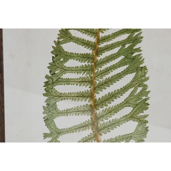 Painting Home ESPRIT Crystal Fir 45 x 2,5 x 70 cm