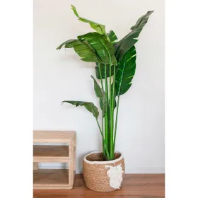 Dekoratīvais Grozs Home ESPRIT Krēmkrāsa Dabisks Boho 33 x 33 x 27 cm (3 Daudzums)