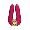 Massager Shunga Aiko Pink Golden Fuchsia