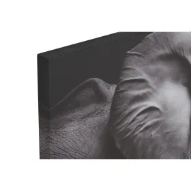 Drobė Home ESPRIT Drobė 120 x 3 x 80 cm