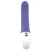 G-Spot Vibrator Dream Toys Essentials Purple