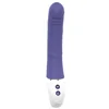 G-Spot Vibrator Dream Toys Essentials Purple