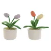 Ovikiila Home ESPRIT 14 x 14 x 30 cm (2 osaa)