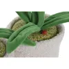 Durvju aizdare Home ESPRIT 14 x 14 x 30 cm (2 gb.)