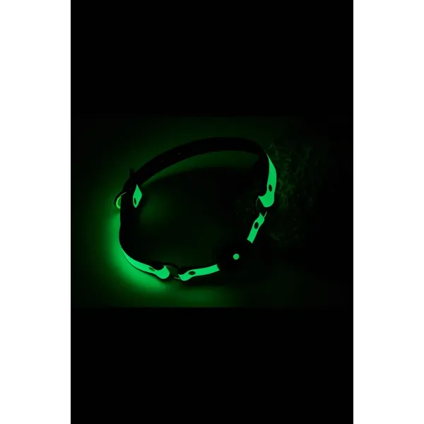 Solid Ball Gag Dream Toys Radiant | Osta veebist — Megaluks