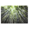 Painting Home ESPRIT Tempered Glass 150 x 0,4 x 100 cm