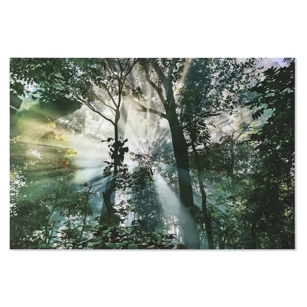 Картина Home ESPRIT Каленое стекло 150 x 0,4 x 100 cm