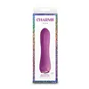 Mini-Vibrator NS Novelties Charms Fern Ruby Red