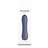 Mini-Vibrator NS Novelties Charms Fern Gray Grey