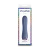 Mini-Vibrator NS Novelties Charms Fern Gray Grey