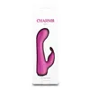 G-Spot Vibrator NS Novelties Charms Pink